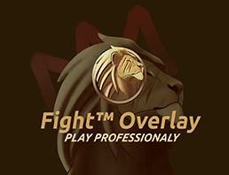 Fight Overlay